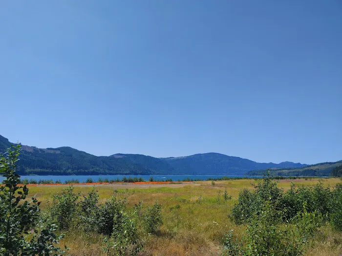 Riffe Lake 5