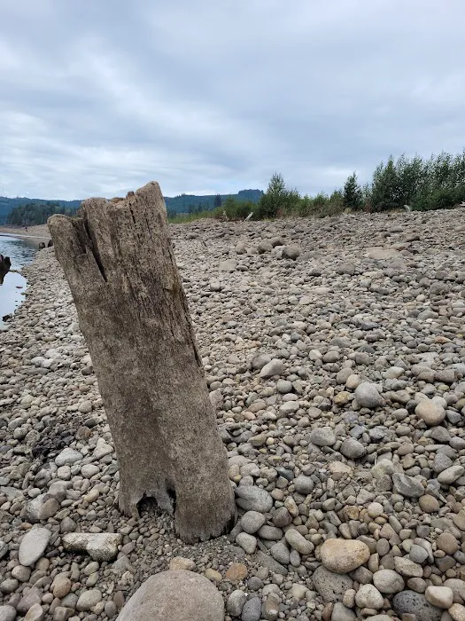 Riffe Lake 9