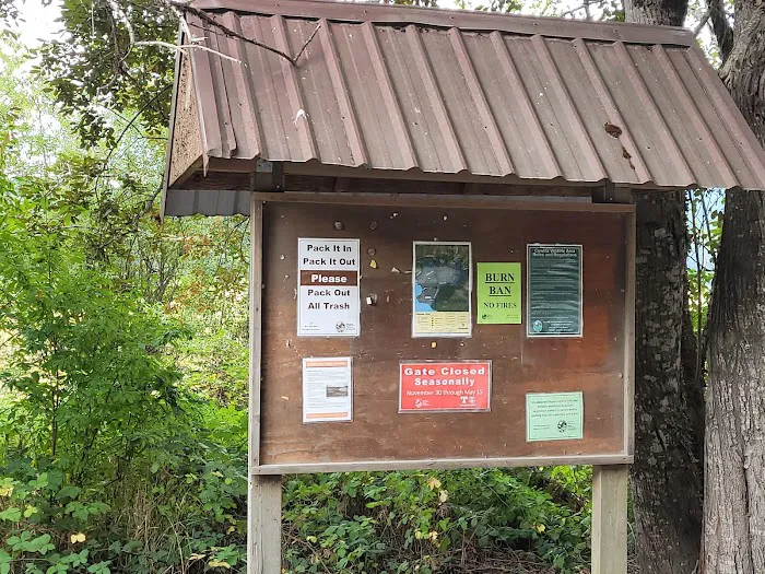 Riffe Lake 4