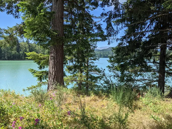 Elk Plain Campground 4