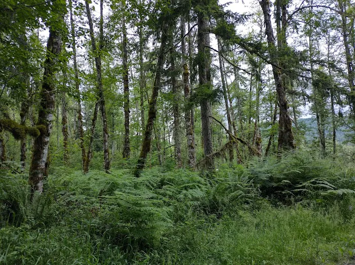 Alder Lake Main Campground 2
