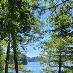 Stacel Point Campground