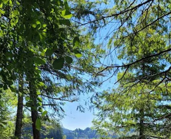 Stacel Point Campground