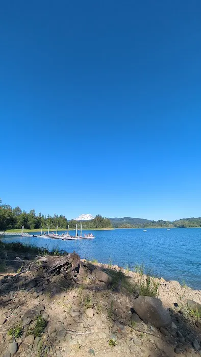 Alder Lake Campground 3