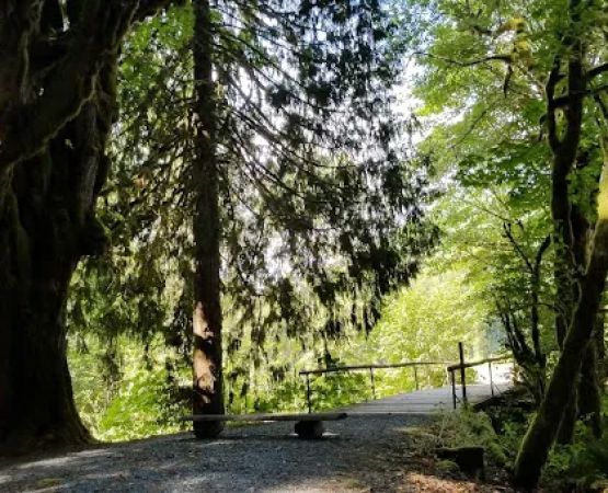 Eastcreek Campground
