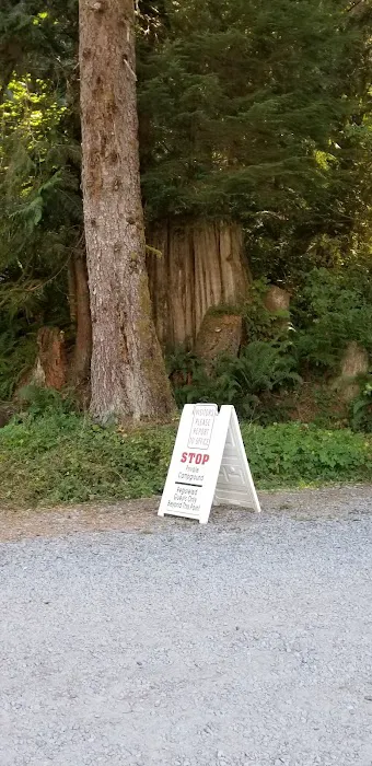 Eastcreek Campground 4