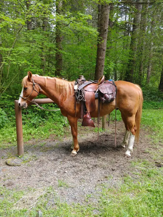 Sahara Creek DNR Horse Camp 1