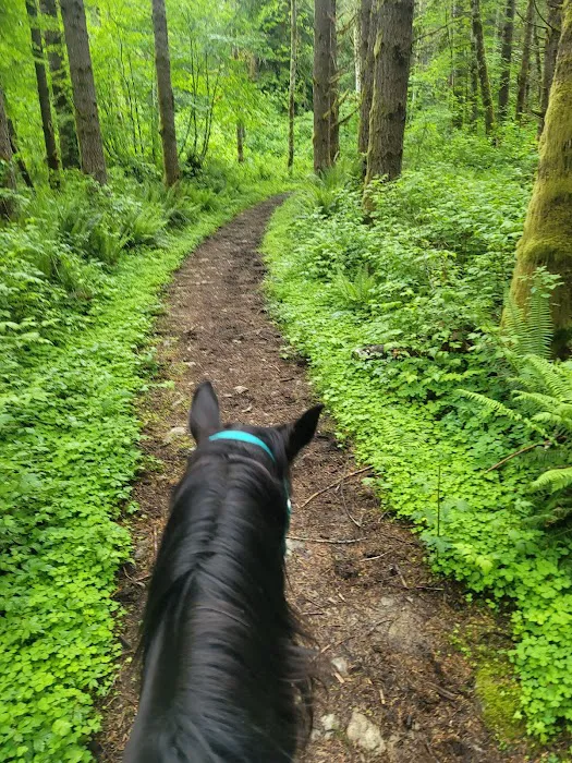 Sahara Creek DNR Horse Camp 4