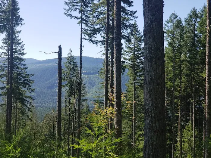 Sahara Creek DNR Horse Camp 7