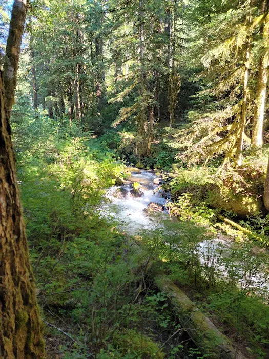 Kalama Horse Camp Campground 5