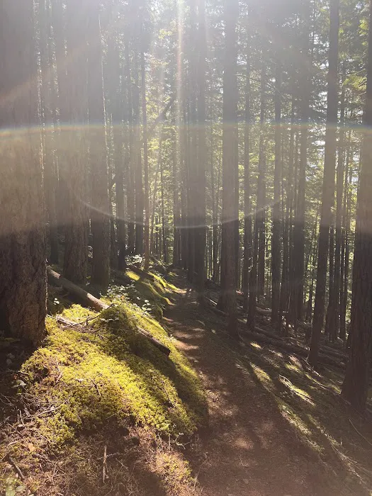 Monogram Lake Campground 3