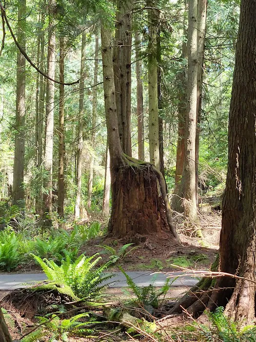 Marble Creek Campground 5