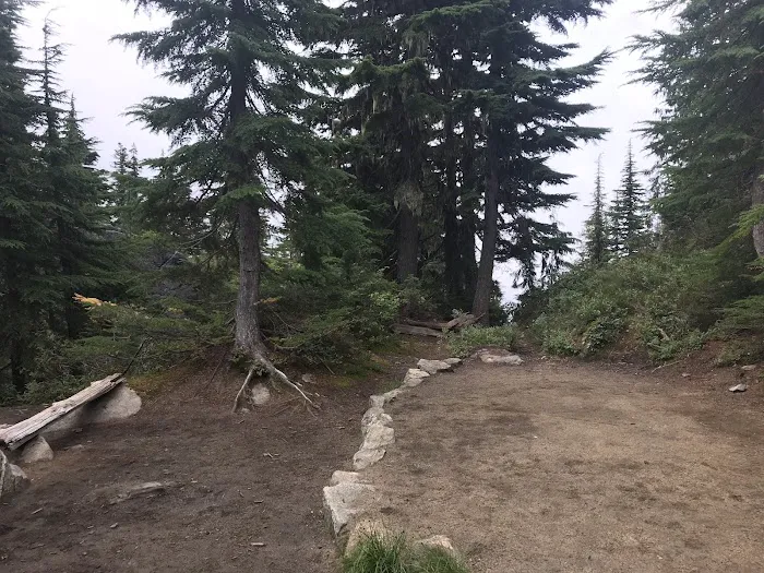 Thornton Lake Campground 8