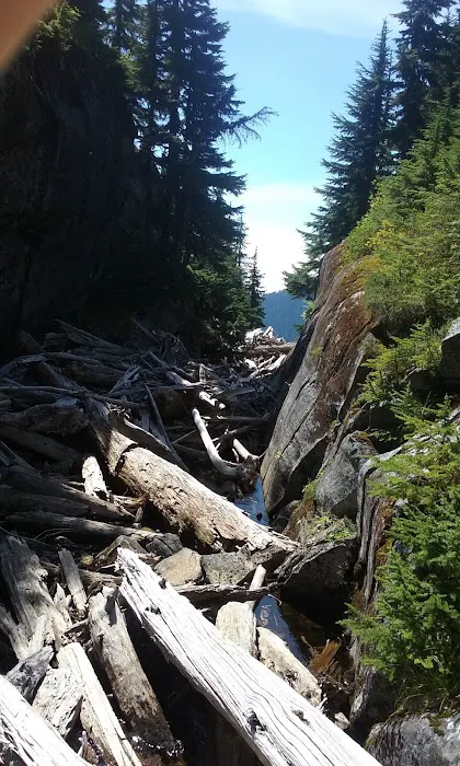 Thornton Lake Campground 0