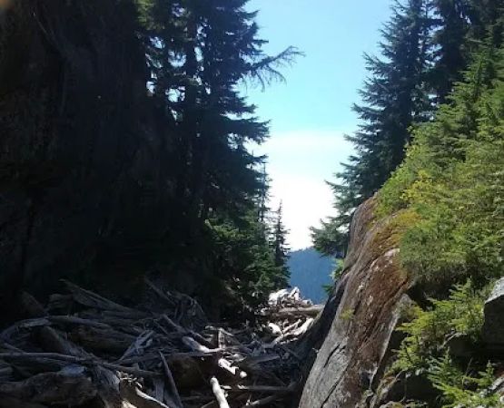 Thornton Lake Campground