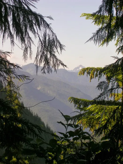 Thornton Lake Campground 3