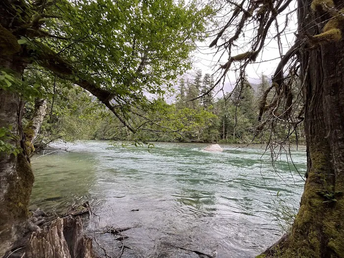 Goodell Creek Campground 4
