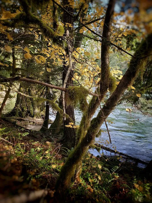 Goodell Creek Campground 3