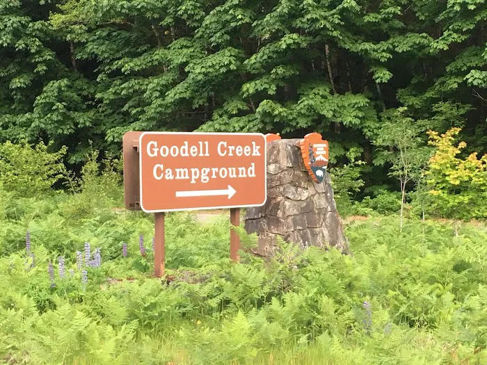 Goodell Creek Campground 5