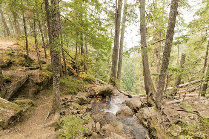 Goodell Creek Campground 6