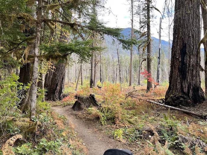 Newhalem Creek Campground 2