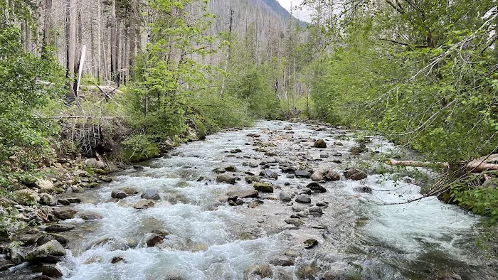 Newhalem Creek Campground 7