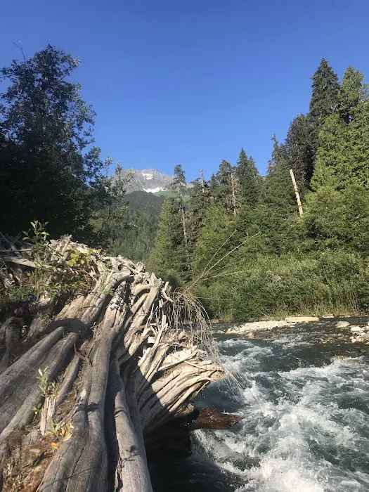 Mineral Park Campground 6