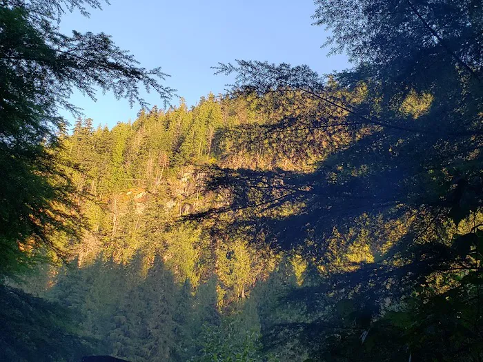 Mineral Park Campground 8