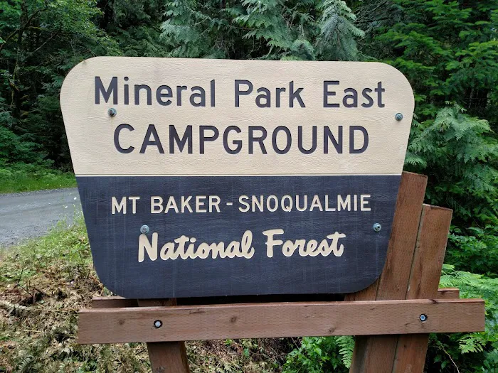 Mineral Park Campground 2