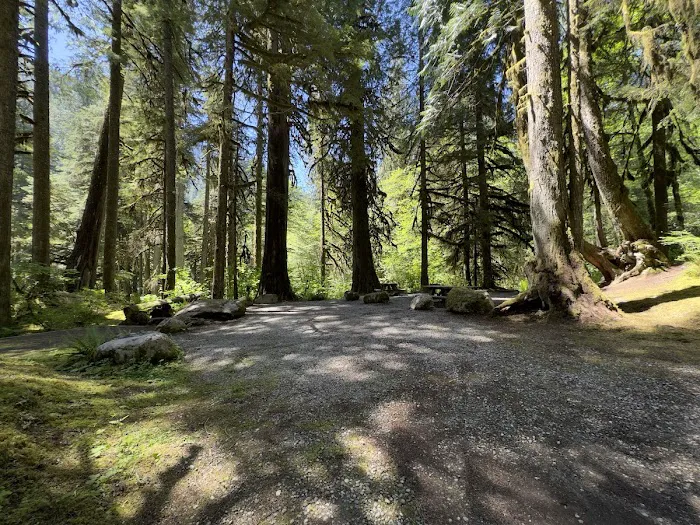 Mineral Park Campground 1