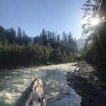 Mineral Park Campground