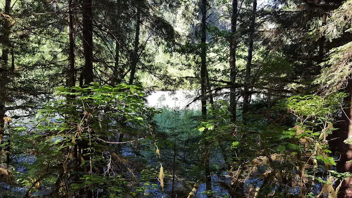 Mineral Park Campground 5