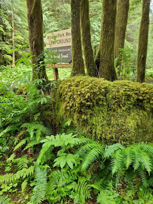 Mineral Park Campground 9