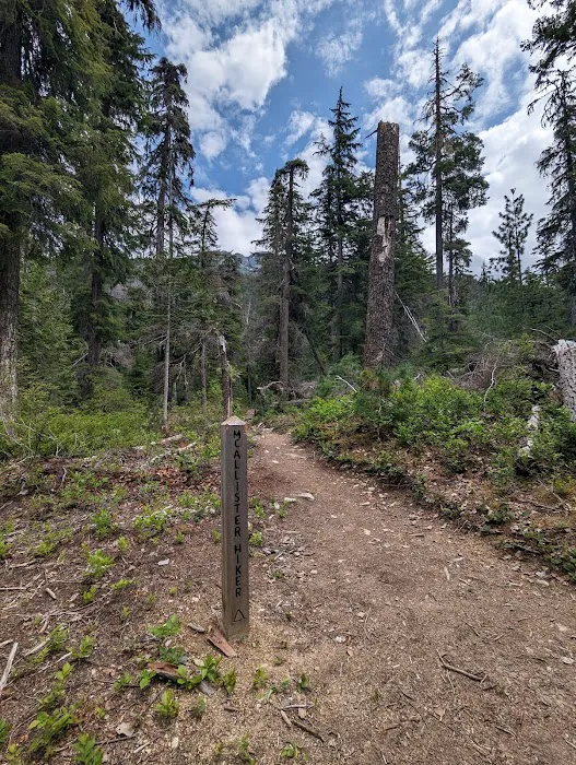 McAllister Campground 1