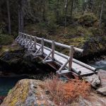 McAllister Campground