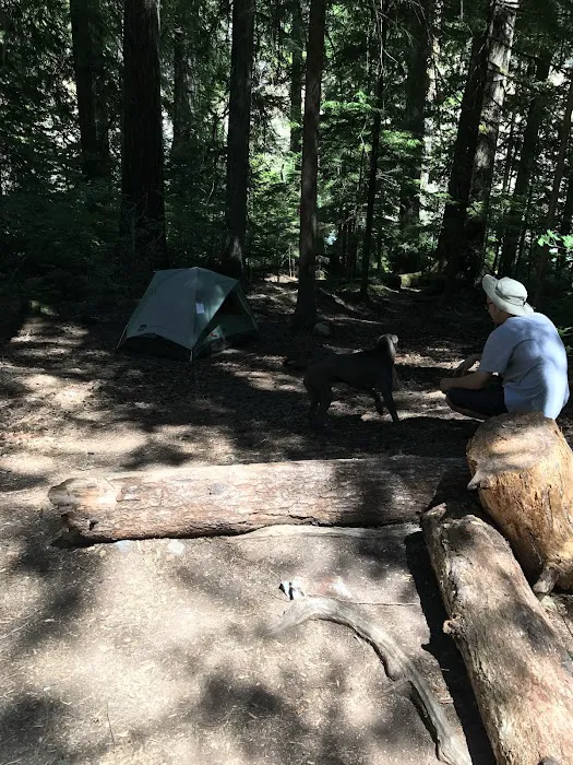 McAllister Campground 6