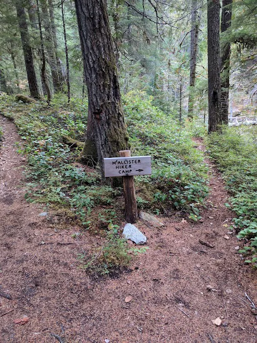 McAllister Campground 4