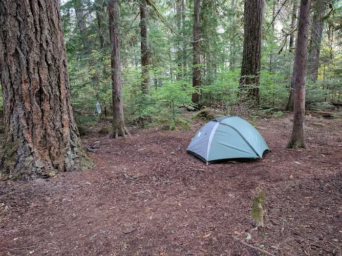 McAllister Campground 7