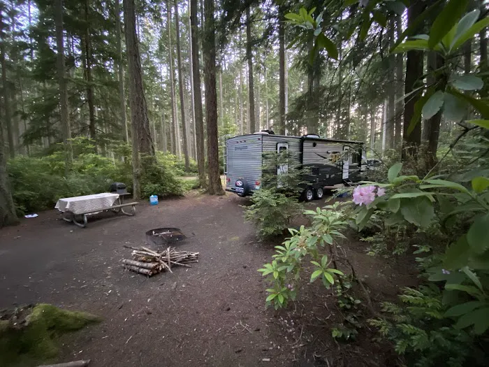 Rhododendron Campground 2