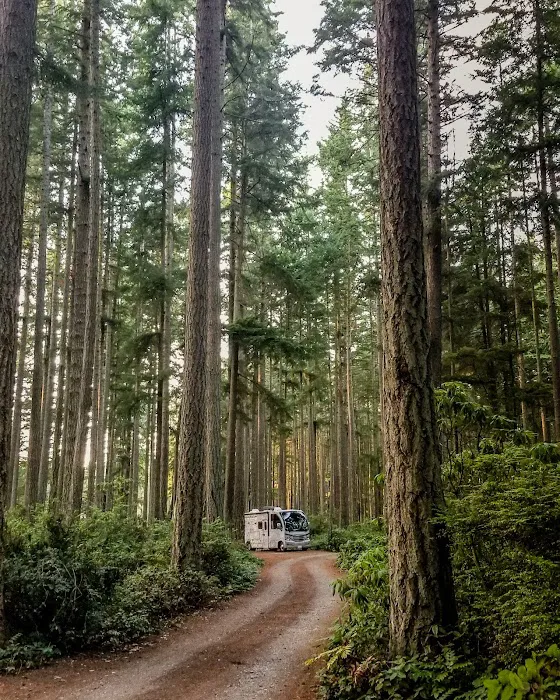 Rhododendron Campground 6