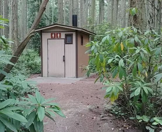 Rhododendron Campground