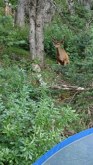 Grand Lake 8