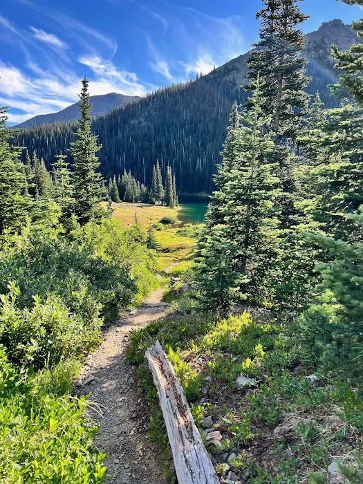 Moose Lake Lower 9