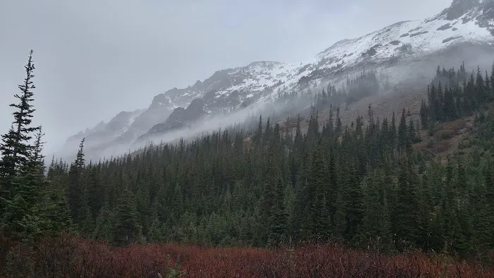 Lower Royal Meadow 2
