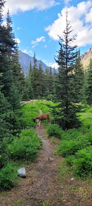 Lower Royal Meadow 6