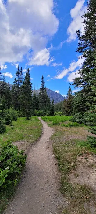 Lower Royal Meadow 4