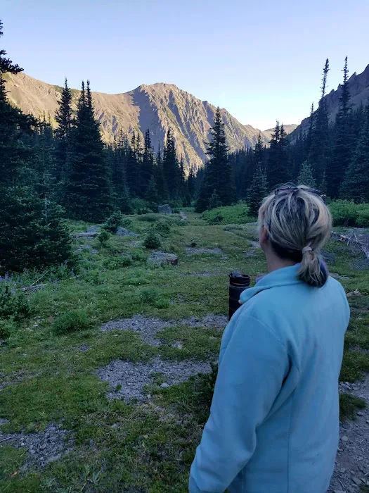 Lower Royal Meadow 7