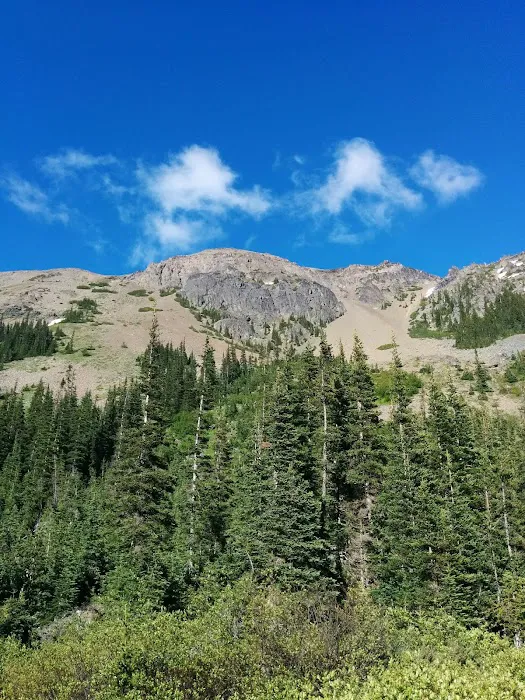 Lower Royal Meadow 3