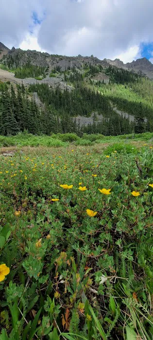 Lower Royal Meadow 0