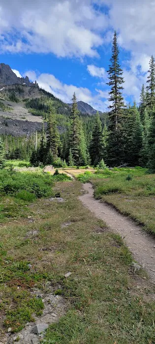 Lower Royal Meadow 5